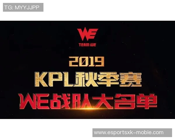 王者荣耀战队WE默契配合解析与战术运用深度剖析